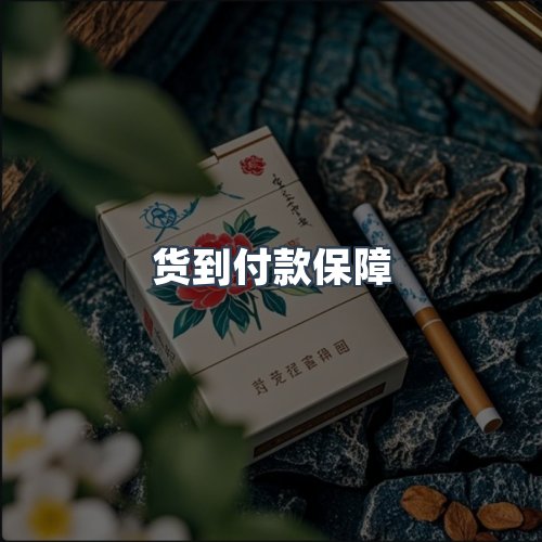 服务优势